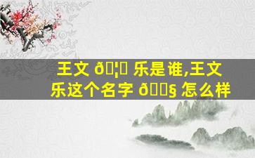王文 🦍 乐是谁,王文乐这个名字 🐧 怎么样
